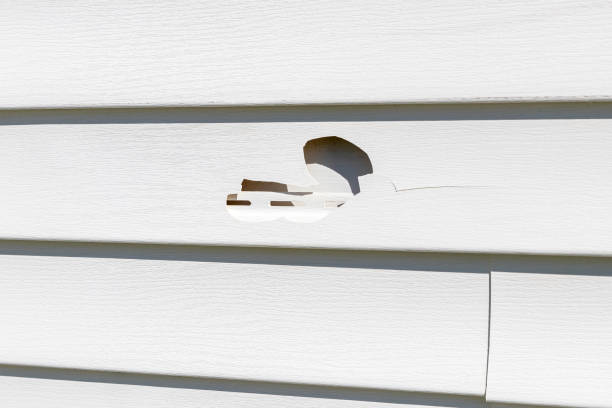 Best Storm Damage Siding Repair  in Lebanon, MO